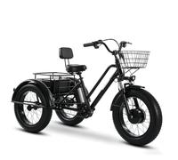 Adult Electric Tricycle 3-Wheel Fat Tire Bike 350W 48V 12Ah | 35km Range, Removable Battery, Large Front Basket, Commuting & Shopping, 3-Wheel Stability
