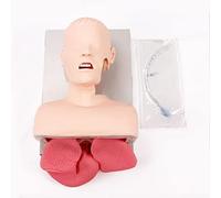 Adult Electronic Tracheal Intubation Teaching Model Tooth Pressure Alarm Human First Aid Training Model Advanced Human E