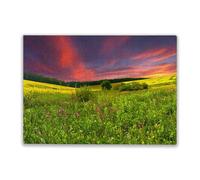 Adult Entertainment Puzzle 500 Pieces Colorful Blossom Field in The Summer Family Fun and Casual Beginner Puzzles Educational