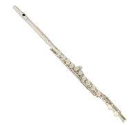 Adult Flute Beginners Fine Wind Instrument Nickel Plated Professional Flute