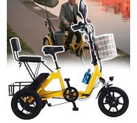 Adult Folding Electric Cargo Tricycle 350W, 48V Removable Battery, 14 Inch Wheels, Dual Baskets, Max Load 180kg