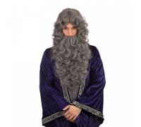 Bristol Novelty BW573 Wizard Grey Wig | for Adult Accessory, One Size Halloween Halloween