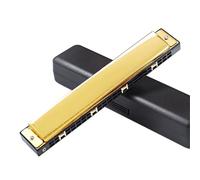 Adult Harmonica 24 Hole Polyphonic C Key 28 Accent Harmonica Instrument(Type 10)