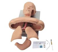 Adult Intubation Manikin,Advanced Oral Nasal Intubation Manikin, With Tooth Alarm Device Simulator Airway Management Trainer Intubation Head Teaching