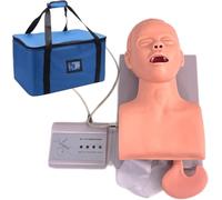 Adult Intubation Training Manikin with Electronic Feedback - PVC Model for Oral and Nasal Practice, Medical Simulation Tool Visible Anatomical Structure