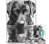 Adult Jigsaw Black Panther Labrador 1000 Piece Jigsaw Puzzles for Teenagers Gifts,Educational Games Home Decoration Artists Collection, Fine Art 50x75cm