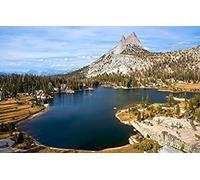 Adult Jigsaw Puzzle 100 Pieces Sierra Nevada Yosemite National Park 45.5x35.5CM
