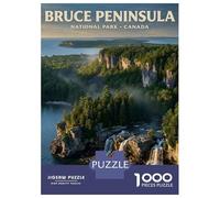 Adult Jigsaw Puzzle 1000 Pieces, Bruce Peninsula National Park, Canada Artwork, Challenging Brain Teaser, Holiday Family Game, Pieces, 38x26cm/1000pcs
