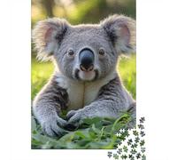 Adult Jigsaw Puzzle, 1000 Pieces, Cute Koala in Green Grass, 70x50cm/1000pcs, Shared Puzzle Activity, Time Around The Table And Friends And Family
