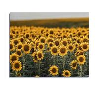 Adult Jigsaw Puzzle 1000 Pieces Landscape Sunflowers on The Wall Painter Style Challenging Educational Toys Home Decor
