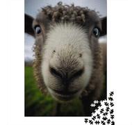 Adult Jigsaw Puzzle, 1000 Pieces, Sheep with A Big Nose, 52x38cm/1000pcs, Shared Puzzle Activity, Time Around The Table And Time Together