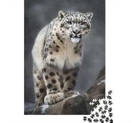 Adult Jigsaw Puzzle, 1000 Pieces, Snow Leopard Roaming Free, 52x38cm/1000pcs, Shared Puzzle Activity, Time Around The Table And Time Together