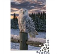 Adult Jigsaw Puzzle, 1000 Pieces, Snowy Owl on A Fence Post, 52x38cm/1000pcs, Shared Puzzle Activity, Relaxing Evenings And Couples And Families