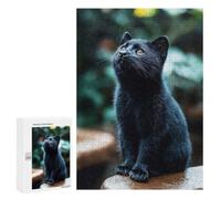 Adult Jigsaw Puzzle, 300 PCS, with Detailed Adorable Black Kitten Looking Up Artwork, A Creative Way to Unwind after A Busy Day, for Family Fun