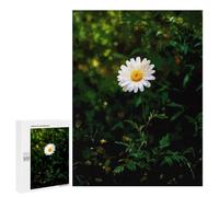 Adult Jigsaw Puzzle, 500 PCS, with Detailed Single Daisy in Bloom Artwork, A Creative Way to Unwind after A Busy Day, for Family Fun