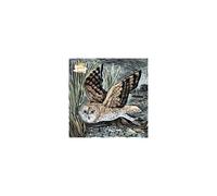 Adult Jigsaw Puzzle Angela Harding: Marsh Owl: 1000-piece Jigsaw Puzzles