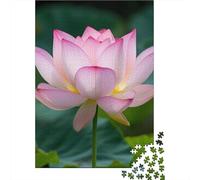 Adult Jigsaw Puzzle Lotus Jigsaw Puzzles for Adults Educational Game Challenge Toy 1000pcs (75x50cm)