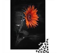 Adult Jigsaw Puzzle, Sunny Star, 1000 Pieces, 70x50cm/1000pcs, White Pieces for Organised Sorting; Relaxed Solo Time at Home