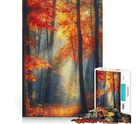 Adult Jigsaw Puzzle1000 Pieces Autumn Forest Path Flawless Fit Art Smart Play Gift Slow Game Play Christmas Art Gift (38x26cm)