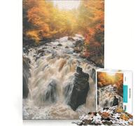 Adult Jigsaw Puzzle1000 Pieces Black Linn Falls Hermitage, Educational Toy, Precision Cutting, Improving Love between Couples 38x26cm