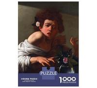Adult Jigsaw Puzzle1000 Pieces Boy Bitten by A Lizard Puzzles for Adults Relaxing Games Staycation Kill Time for Birthday, Chrismas 52x38cm/1000pcs