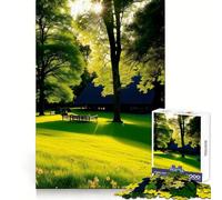 Adult Jigsaw Puzzle1000 Pieces Lonely Is The Bench Clean Cut Piece Mind Exercise Toy Free Time Game Christmas Home Art (50x75cm)