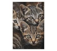 Adult Jigsaw Puzzle1000pcs(75x50cm) Adorable Tabby Kittens Jigsaw for Adults Hands-on Game Stress Reliever Deal As Gifts for The Whole Family 1000pcs(75x50cm)