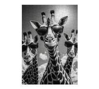 Adult Jigsaw Puzzle300 PCS Giraffe Rap Cover Jigsaws for Adults Anti-Stress Toys Pattern Assembly Stress Reduction Gifts 300 PCS