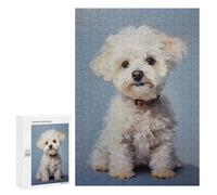 Adult Jigsaw Puzzle300 PCS White Poodle Puppy Teenagers Puzzles Brain Teaser Game Improve Memory Help The Brain Exercise 300 PCS