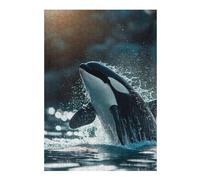 Adult Jigsaw Puzzle38x26cm/1000pcs Orca Whale Killer Jigsaw for Adults Brain Teaser Game Precision Cutting Deal As Gifts for The Whole Family 38x26cm/1000pcs