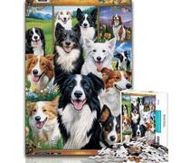 Adult Jigsaw Puzzles 1000 Border Collie Collage 1000 Pieces for Teenagers,Perfect for Game Nights, Colorful Toy for Home Gift (size 75x50cm)