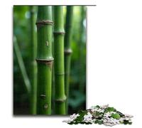 Adult Jigsaw Puzzles 1000 Pieces Bamboo Shoots after Rain Home Decoration Puzzle Toys Deal As Gifts for The Whole Family 1000 PCS(75x50cm)