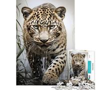 Adult Jigsaw Puzzles 1000 Pieces Leopard in The Wild for Birthday, Chrismas Precision Cutting Hands-on Game for Age 14+ Game (38x26cm)