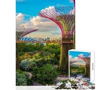 Adult Jigsaw Puzzles 1000 Pieces Singapore Brain Teaser Game Tough Challenge Educational Toy Deal As Gifts for The Whole Family (50X75CM)