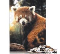 Adult Jigsaw Puzzles 1000 Pieces The Red Panda Wood Jigsaw Puzzles for Adults Educational Game Challenge Toy 1000pcs (75x50cm)