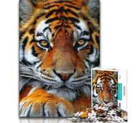 Adult Jigsaw Puzzles 1000 Tiger Portrait 1000 Pieces for Teenagers,Toys Educational Games Stress Relieving Unique Birthday And Gifts (size 75x50cm)