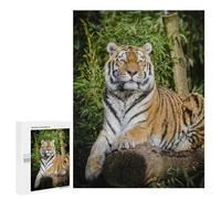 Adult Jigsaw Puzzles 500 PCS Tiger Lying on Brown Tree Jigsaws for Adults Anti-Stress Toys Enhance Memory Birthday Present, Gifts, 500 PCS
