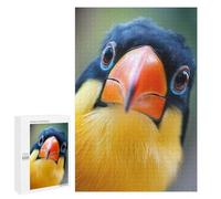 Adult Jigsaw Puzzles1000 PCS Funny Toucan Bird Portrait Adult Puzzles Toy Wall Decor Difficult Challenge Unique Birthday And Xmas Gifts 1000 PCS
