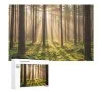 Adult Jigsaw Puzzles1000 PCS Sunlit Forest Scene Puzzle for Adults Hands-on Game Perfect Decoration Christmas Birthday Gifts 1000 PCS