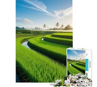 Adult Jigsaw Puzzles1000 Pieces Rice Paddy Field at Sunrise Help The Brain Exercise Perfect Decoration Fun Games for Ages 14 And over (38x52cm)