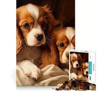 Adult Jigsaw Puzzles1000 Pieces Two Cavalier King Charles Spaniels Premium Cut Fun Logic Fun Toy Easy Time Play Christmas Wall Art (50x75cm)