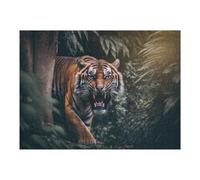Adult Jigsaw Puzzles1000pcs(52x38cm) Angry Tiger Jigsaws for Adults Brain Teaser Game Pattern Assembly Christmas Birthday Gifts 1000pcs(52x38cm)