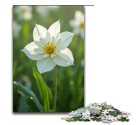 Adult Jigsaw The Snow-white Reeds Sway in The Wind 1000 Piece Puzzle Wooden Puzzle for Adults & Kids Age 12 Up Educational Toy 1000 PCS(75x50cm)