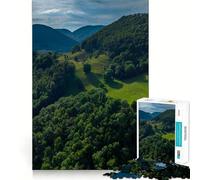 Adult Jigsaw1000 Pieces Switzerland Delemont Precise Fit Game Smart Brain Toy Free Time Play Birthday Mind Gift (38x52cm)