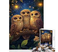Adult Jigsaw1000 Pieces Three Owls in The Night DIY Toys Birthday Gift Family Games with Fully Interlocking Randomly Shaped Pieces size 38x26cm
