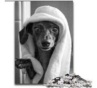 Adult Jigsaws 1000 Piece Dachshund Taking A Bath, Stress Reliever Difficult Challenge Secret Santa Gifts for Age 14 Years Up (size 26x38cm)