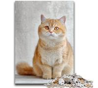 Adult Jigsaws 1000 Pieces Difficult Cute Cat Challenging To Complete But Fun And Humorous Educational Game for Birthday 50x75cm