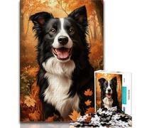 Adult Jigsaws 1000 Pieces Difficult Fallen Border Collie,Challenging Game And Family Play with Matching Poster And Trivia Sheet 50x75cm