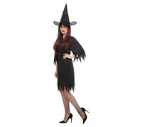 Adult Ladies Spooky Witch Halloween Fancy Dress Costume
