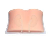 Adult Medical Training Kit Advanced kidney anatomy mannequin, ultrasound guided renal biopsy training, nursing teaching education adult student practice